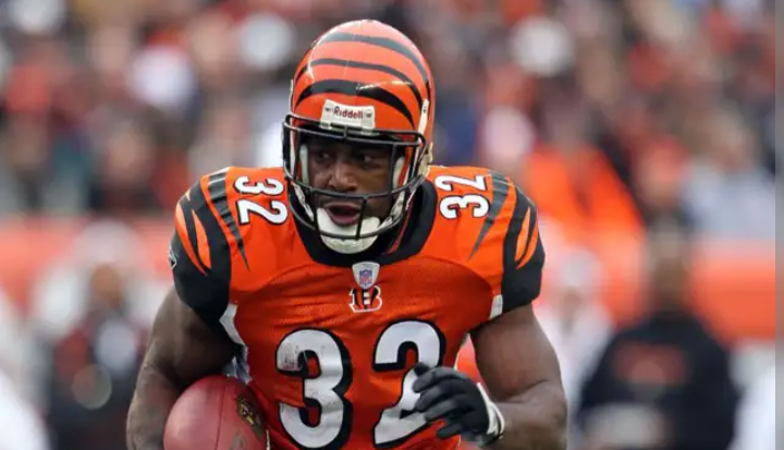 Rudi Johnson Biography